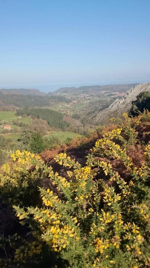 Apartamentos Rurales Andrea Llanes Zewnętrze zdjęcie