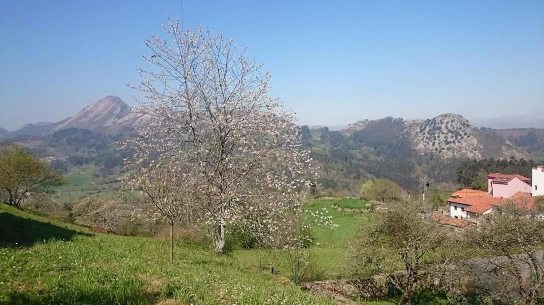 Apartamentos Rurales Andrea Llanes Zewnętrze zdjęcie